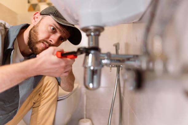 Best Plumbing Services Near Me  in Beach Park, IL